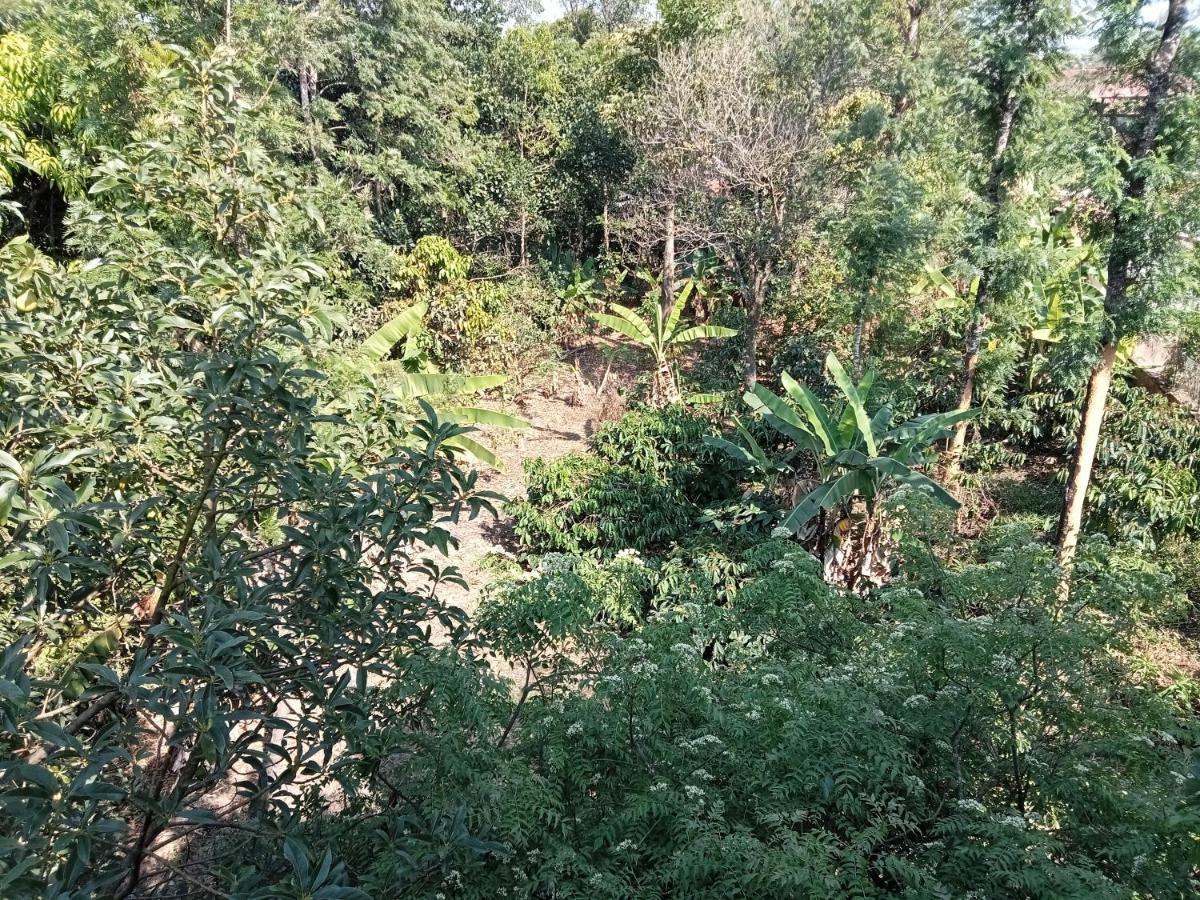 Krupa Homestay Madikeri Exteriér fotografie